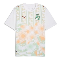 Camiseta Costa de Marfil Segunda Equipación Replica Mundial 2026 mangas cortas